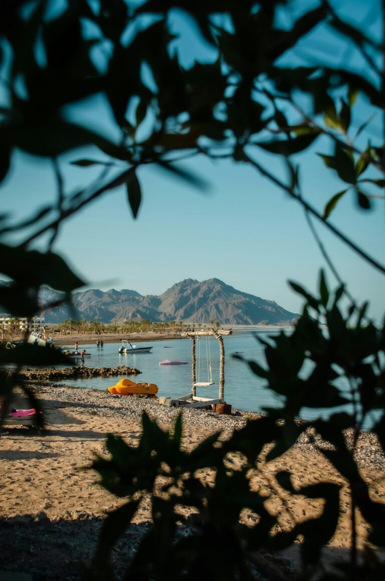 Dahab All-in-One: 6 Adventures in 1 Day