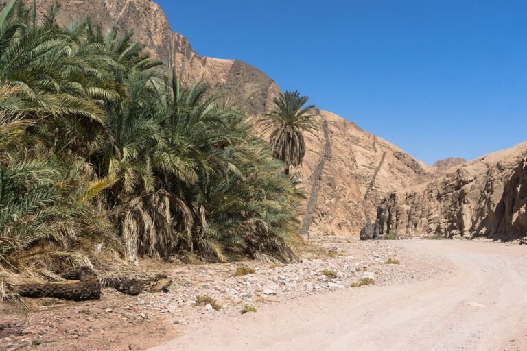 Three Pools + Beach-Buggy nach Wadi Gnai