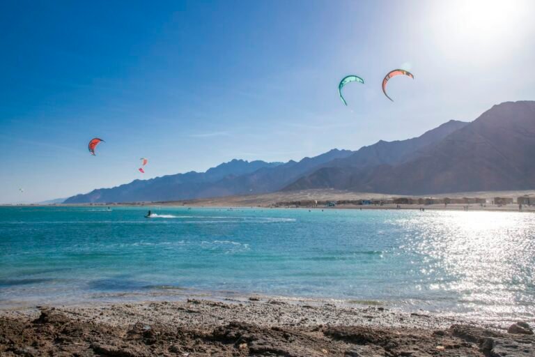 Full-Day Yacht on the Red Sea
