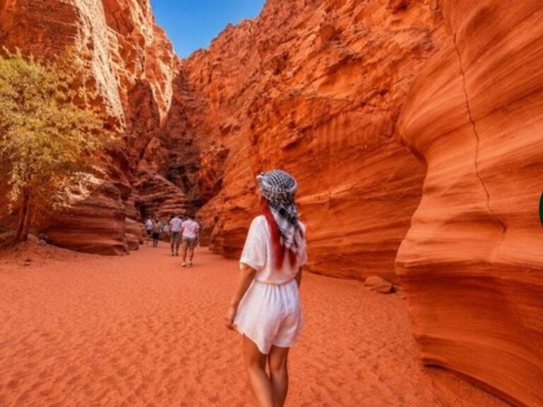 Colored Canyon + White Canyon + Ein Khudra