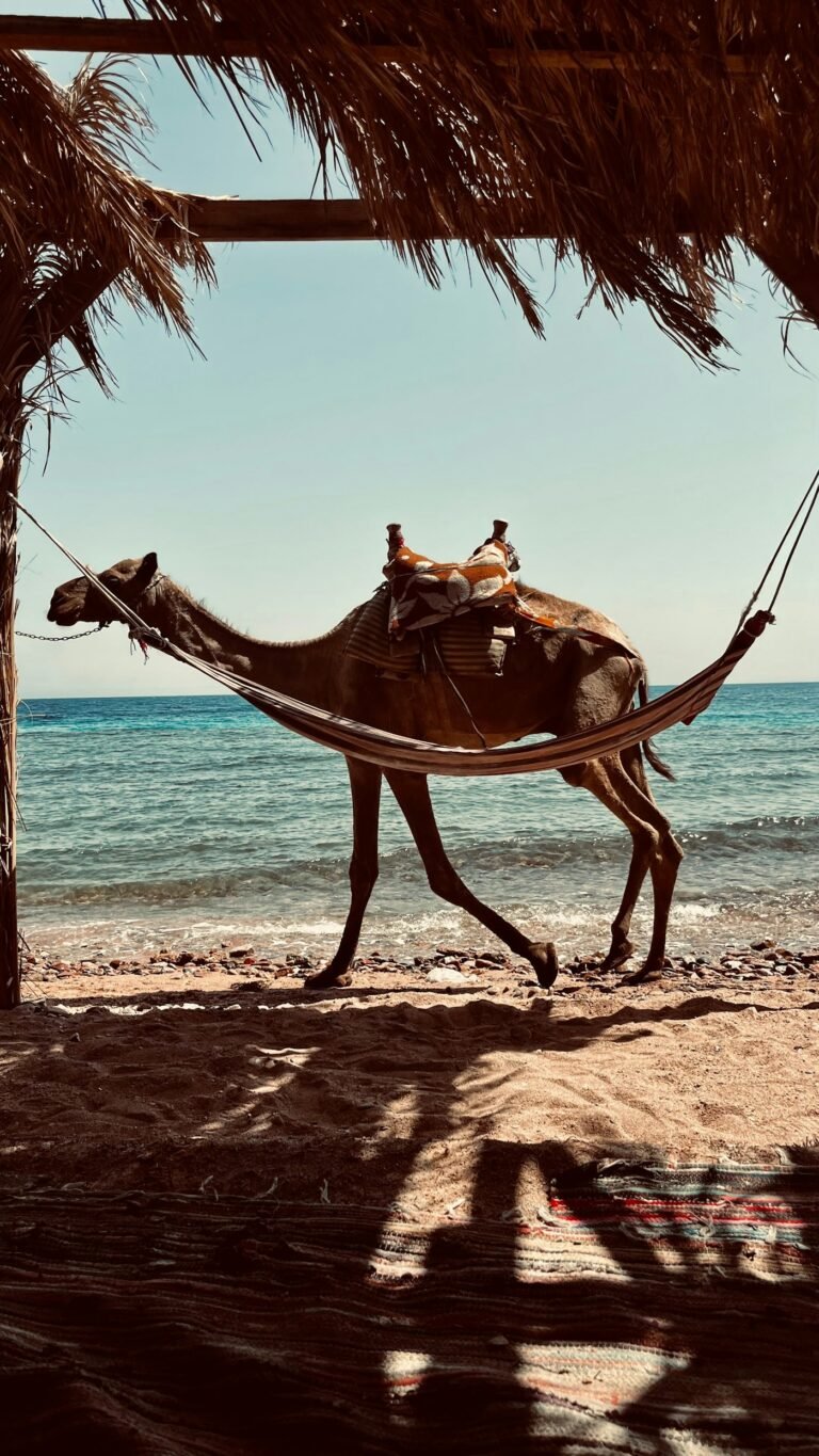 Three Pools + Beach Buggy to Wadi Gnai