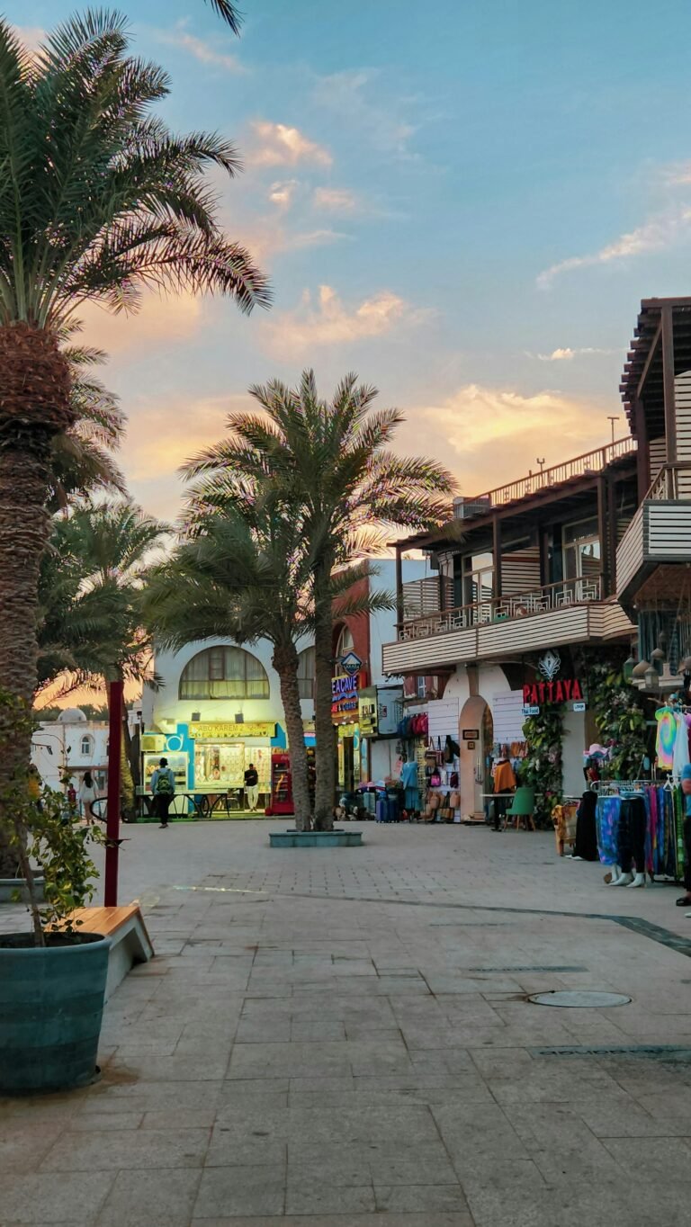 Palm-lined street with shops and cafés in Dahab
