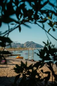 Calm bay and beach seen through leaves, mountains behind